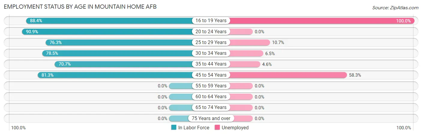 Employment Status by Age in Mountain Home AFB