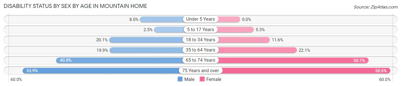 Disability Status by Sex by Age in Mountain Home