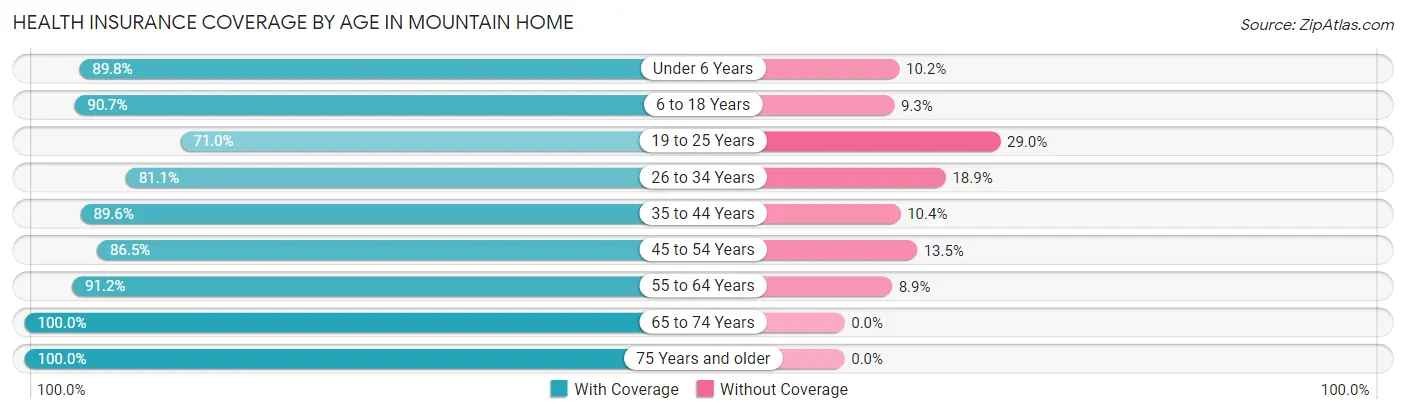 Health Insurance Coverage by Age in Mountain Home