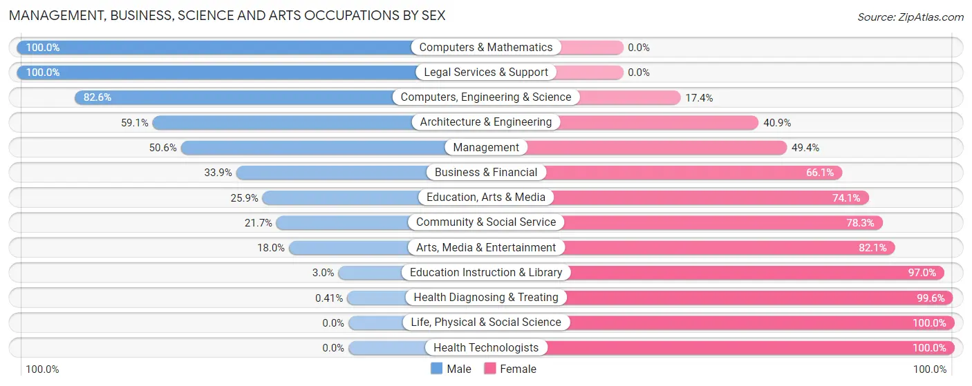 Management, Business, Science and Arts Occupations by Sex in Mountain Home