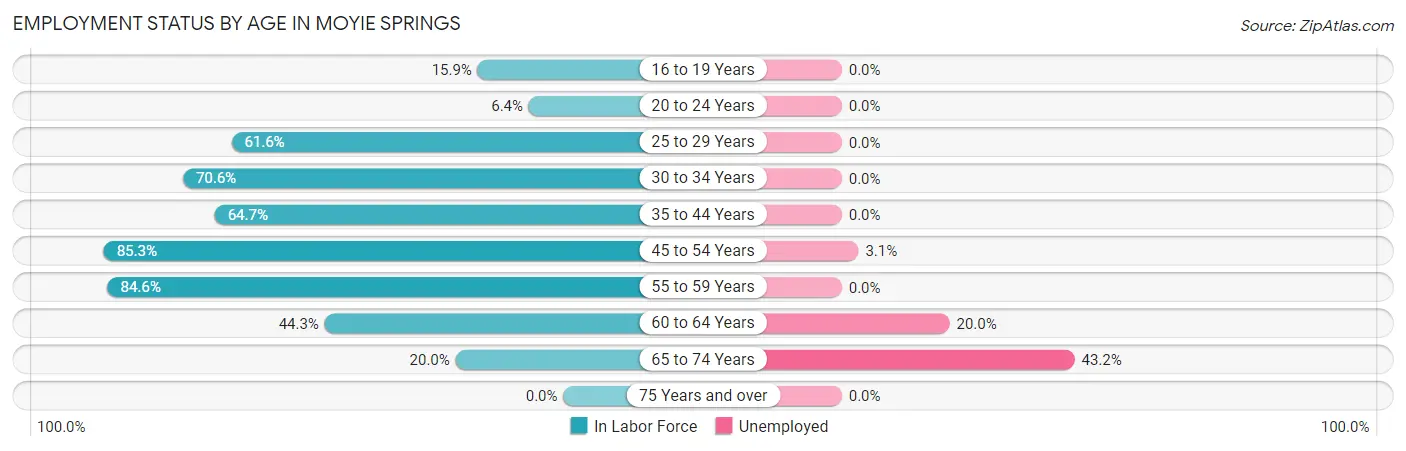 Employment Status by Age in Moyie Springs