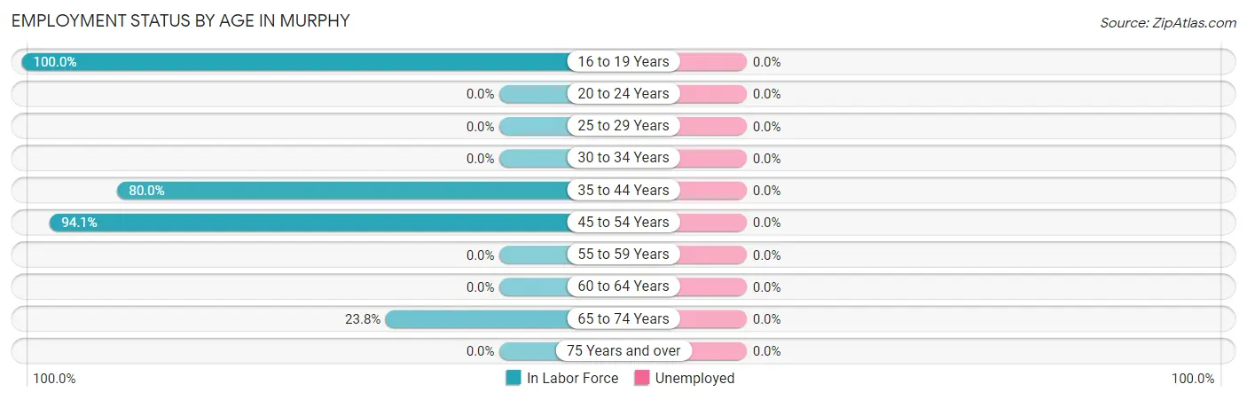 Employment Status by Age in Murphy