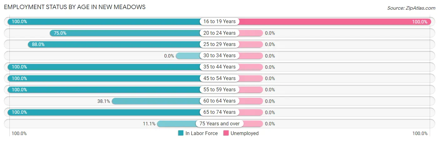 Employment Status by Age in New Meadows