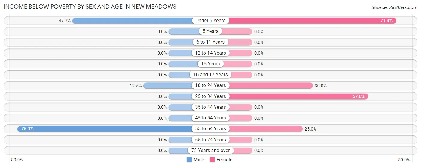 Income Below Poverty by Sex and Age in New Meadows