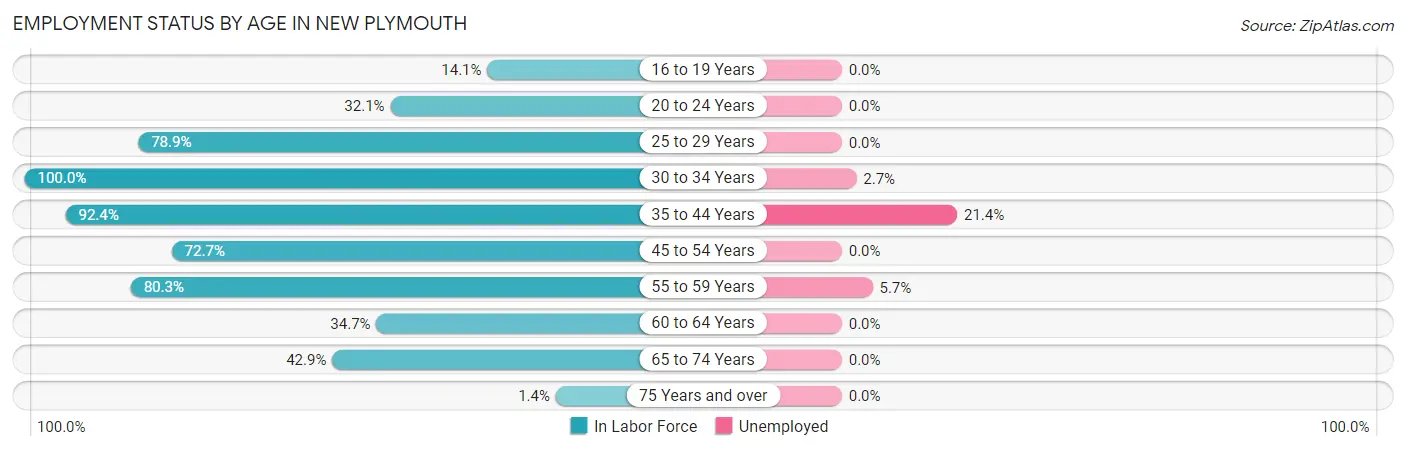Employment Status by Age in New Plymouth