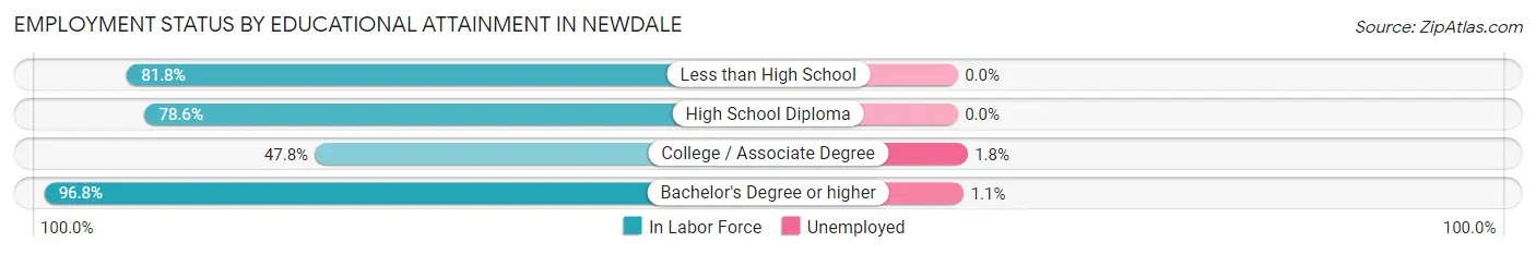 Employment Status by Educational Attainment in Newdale