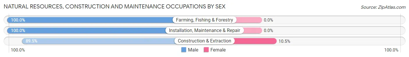 Natural Resources, Construction and Maintenance Occupations by Sex in Orofino