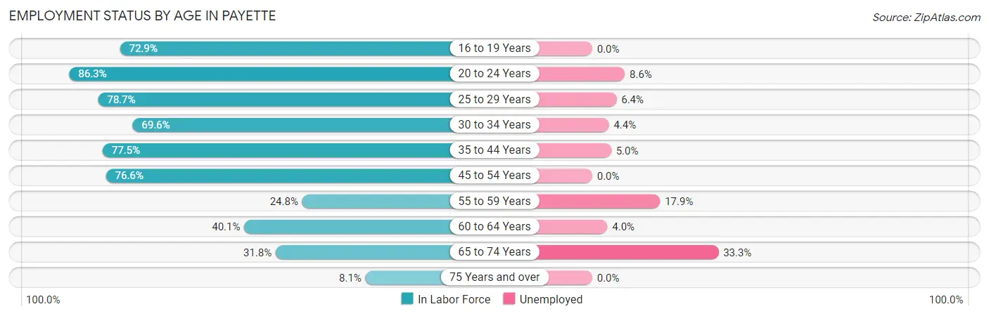 Employment Status by Age in Payette