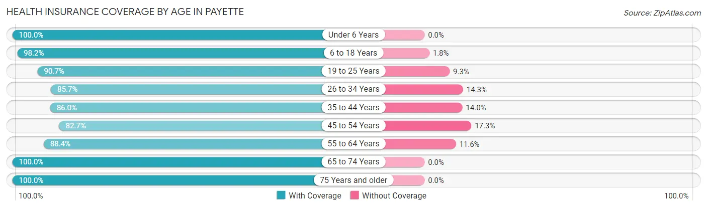 Health Insurance Coverage by Age in Payette