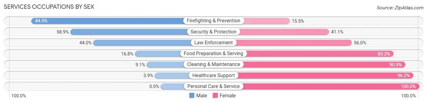 Services Occupations by Sex in Payette