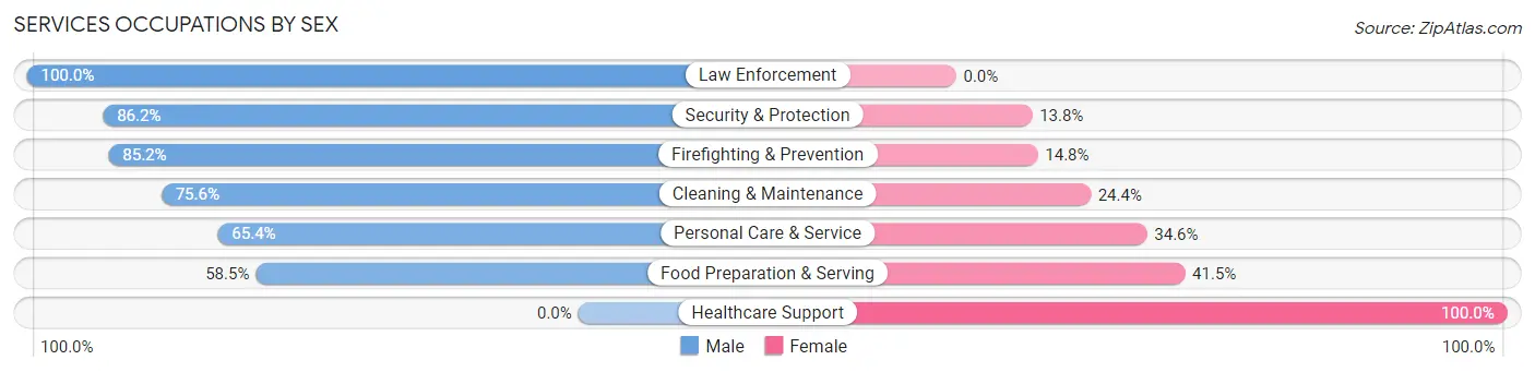 Services Occupations by Sex in Plummer