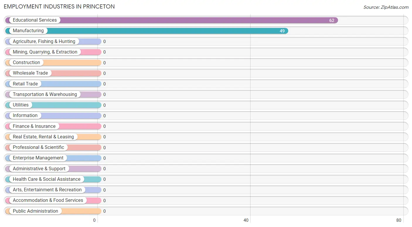 Employment Industries in Princeton