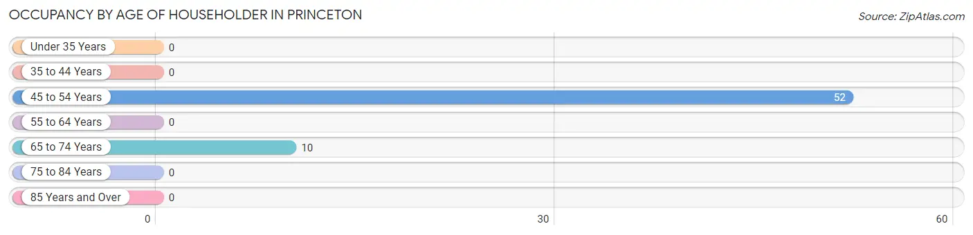 Occupancy by Age of Householder in Princeton