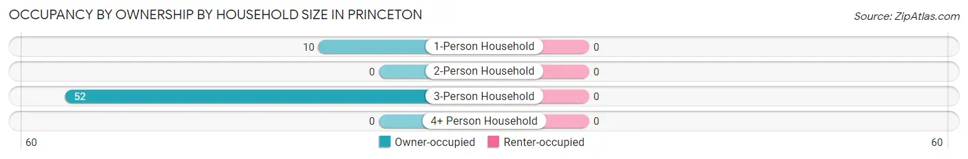 Occupancy by Ownership by Household Size in Princeton