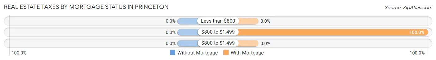 Real Estate Taxes by Mortgage Status in Princeton