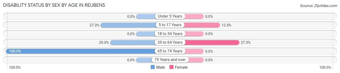 Disability Status by Sex by Age in Reubens