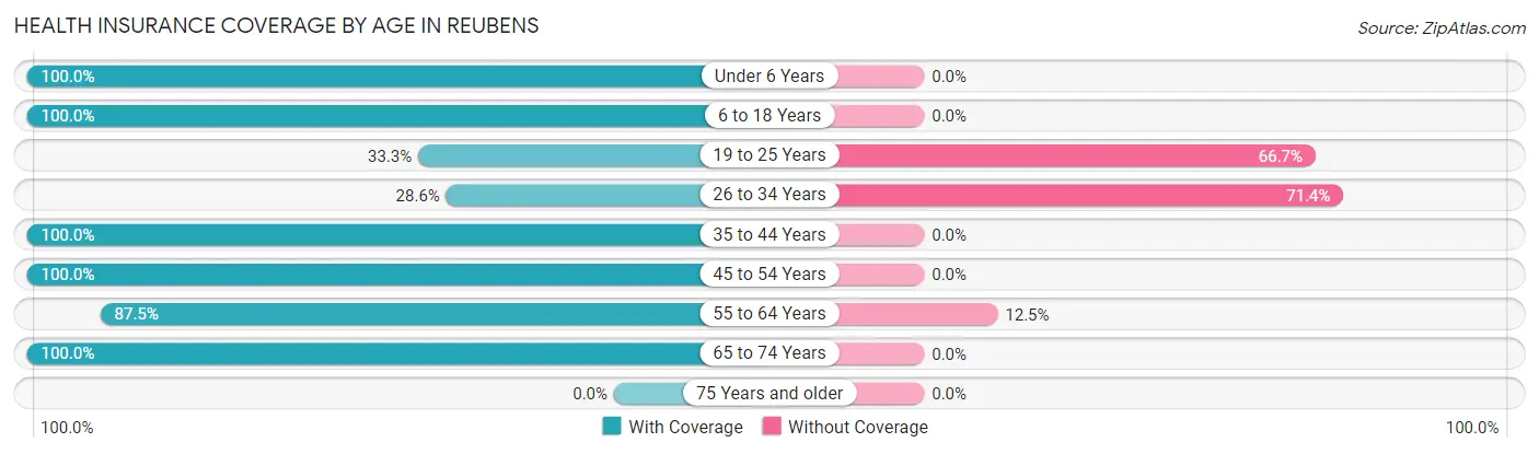 Health Insurance Coverage by Age in Reubens