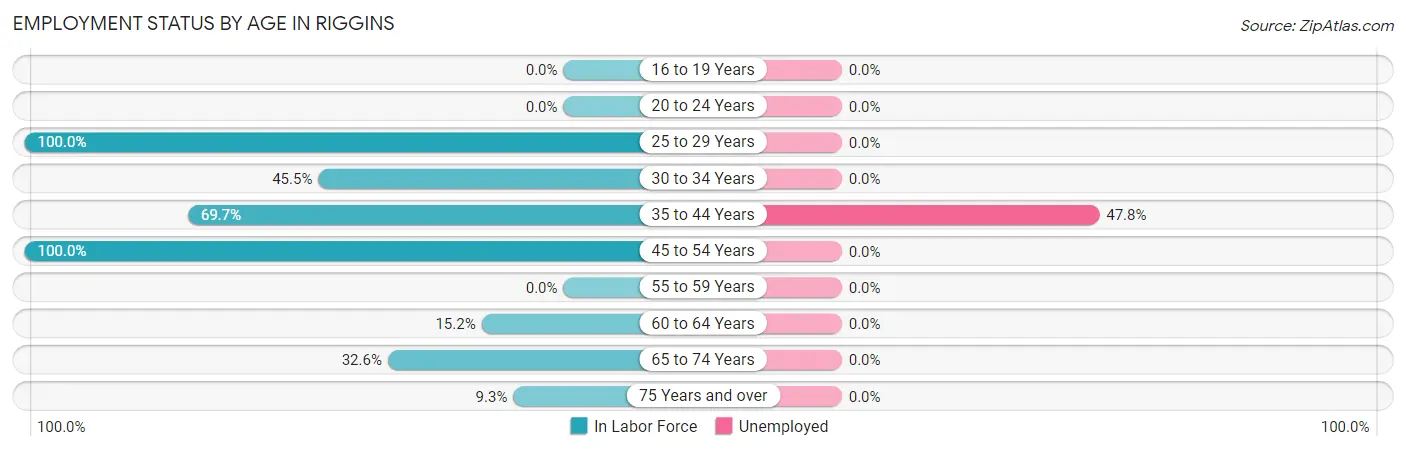 Employment Status by Age in Riggins