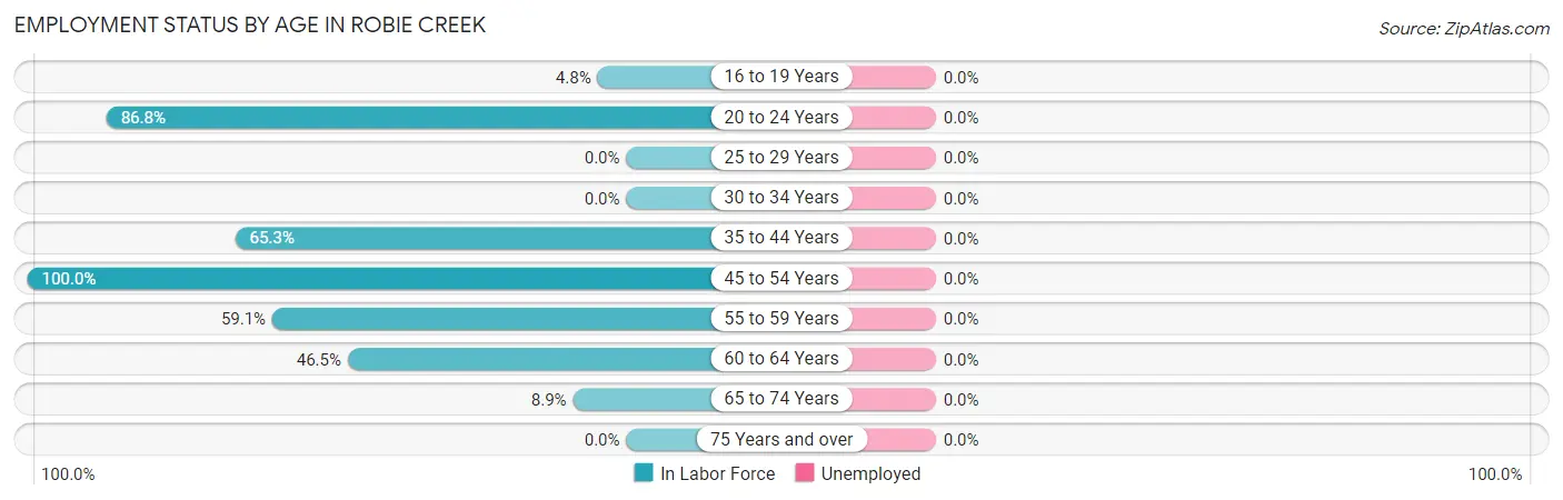 Employment Status by Age in Robie Creek