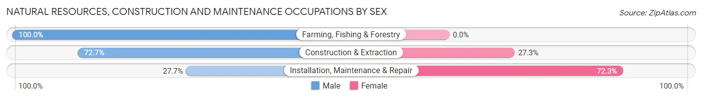 Natural Resources, Construction and Maintenance Occupations by Sex in Salmon