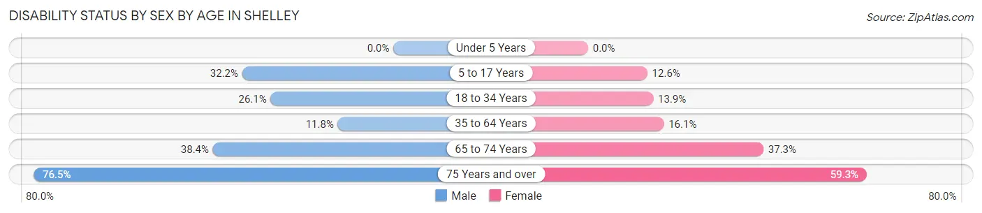 Disability Status by Sex by Age in Shelley