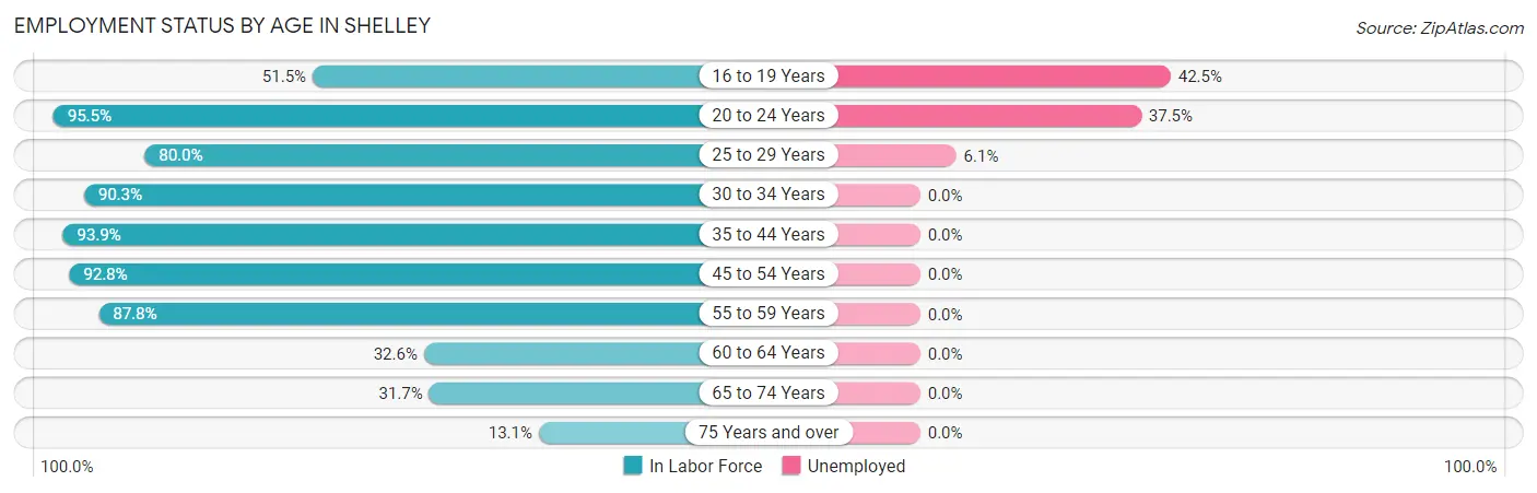 Employment Status by Age in Shelley