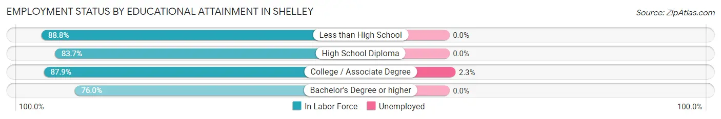 Employment Status by Educational Attainment in Shelley