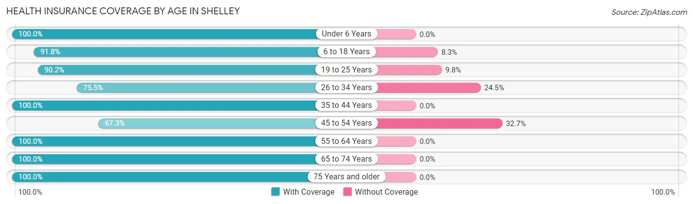 Health Insurance Coverage by Age in Shelley