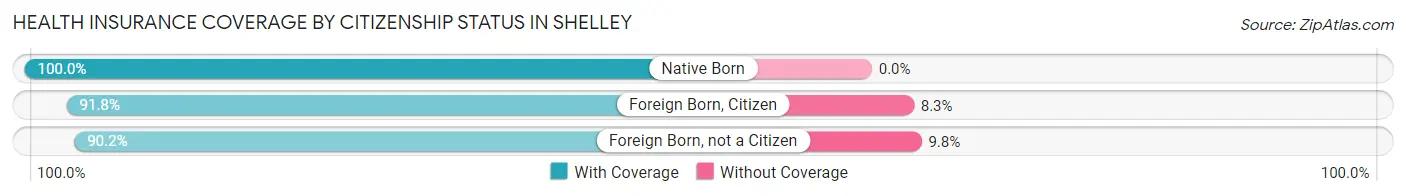 Health Insurance Coverage by Citizenship Status in Shelley