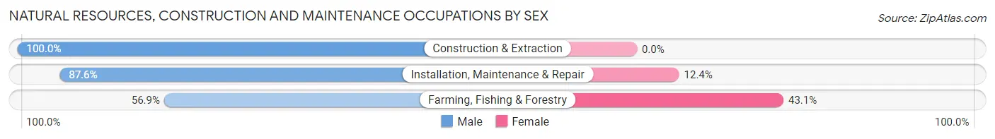 Natural Resources, Construction and Maintenance Occupations by Sex in Shelley