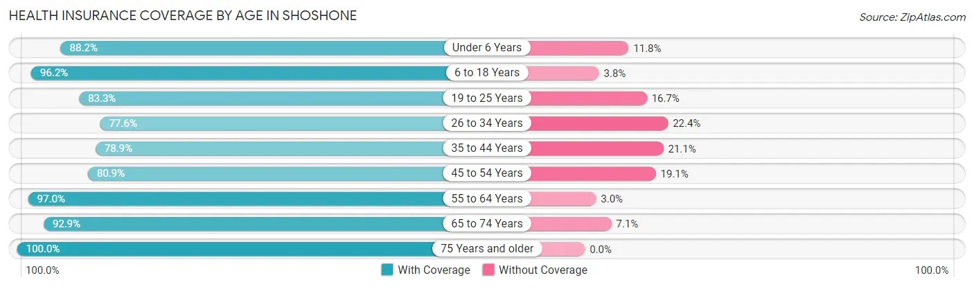 Health Insurance Coverage by Age in Shoshone