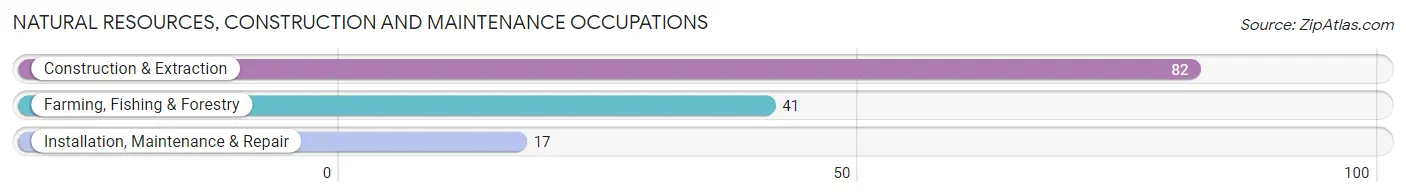 Natural Resources, Construction and Maintenance Occupations in Shoshone