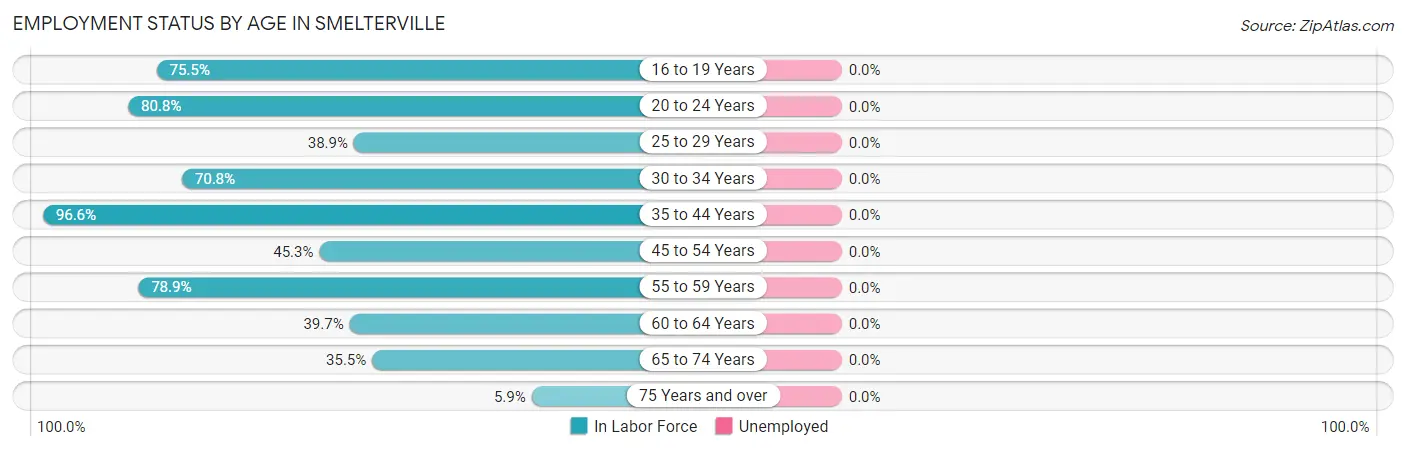 Employment Status by Age in Smelterville