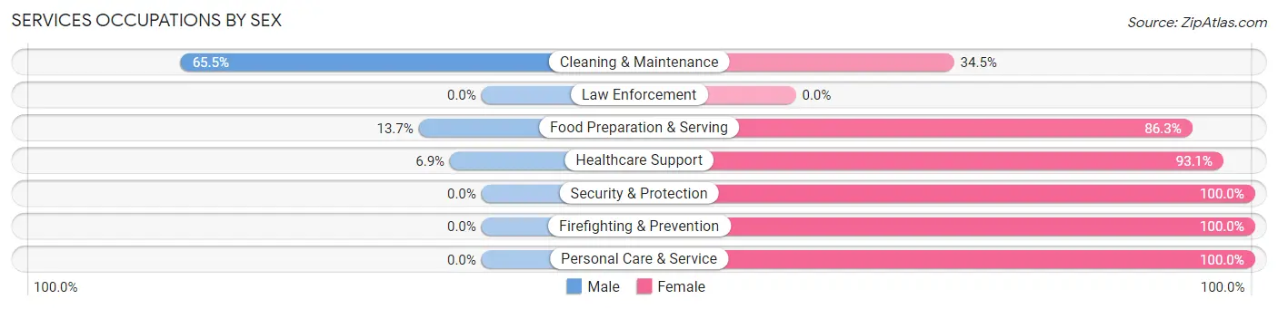 Services Occupations by Sex in Soda Springs