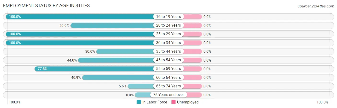Employment Status by Age in Stites