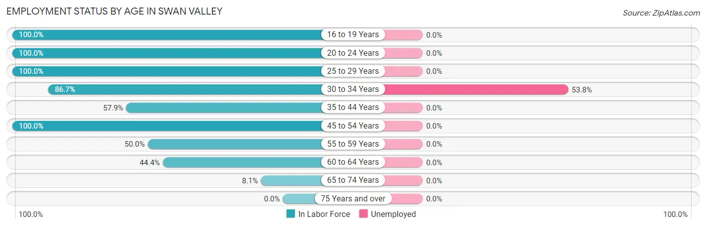 Employment Status by Age in Swan Valley
