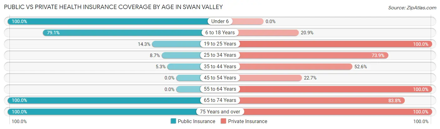 Public vs Private Health Insurance Coverage by Age in Swan Valley