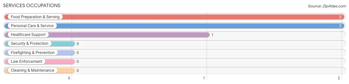 Services Occupations in Tensed