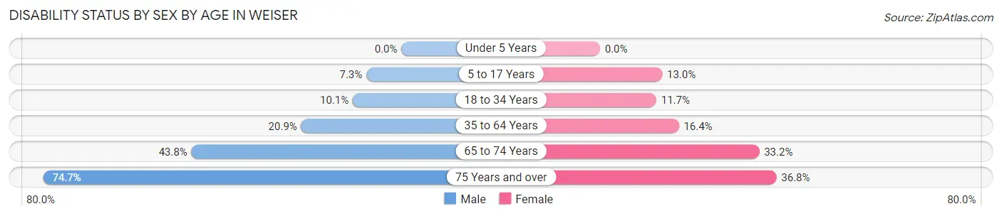 Disability Status by Sex by Age in Weiser