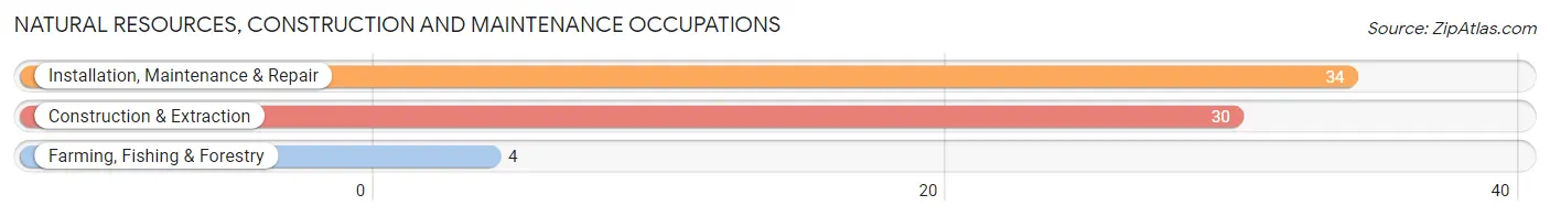 Natural Resources, Construction and Maintenance Occupations in Alexis