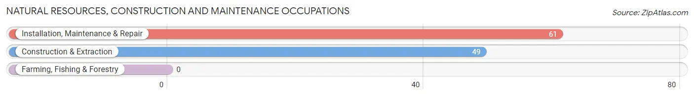 Natural Resources, Construction and Maintenance Occupations in Altamont