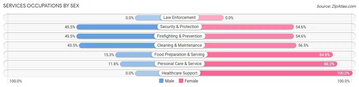 Services Occupations by Sex in Altamont