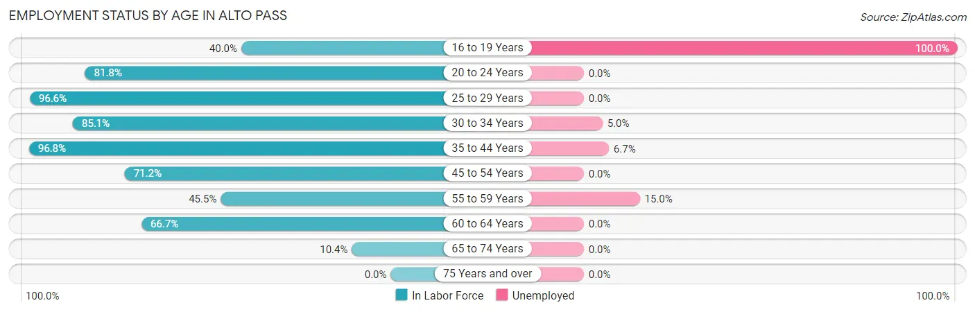 Employment Status by Age in Alto Pass