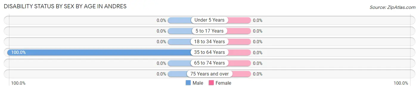 Disability Status by Sex by Age in Andres
