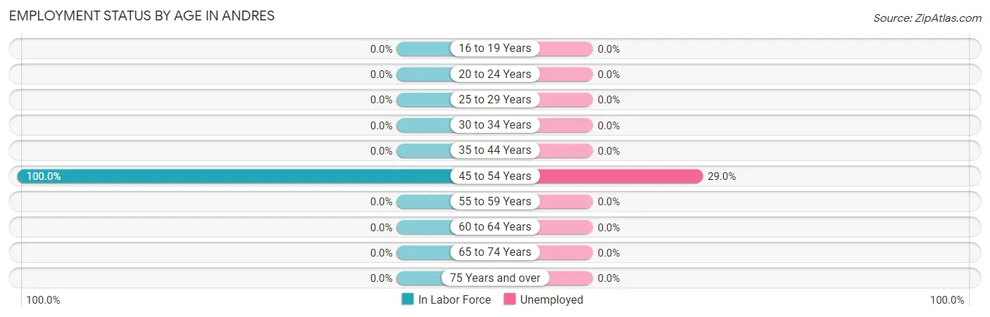 Employment Status by Age in Andres