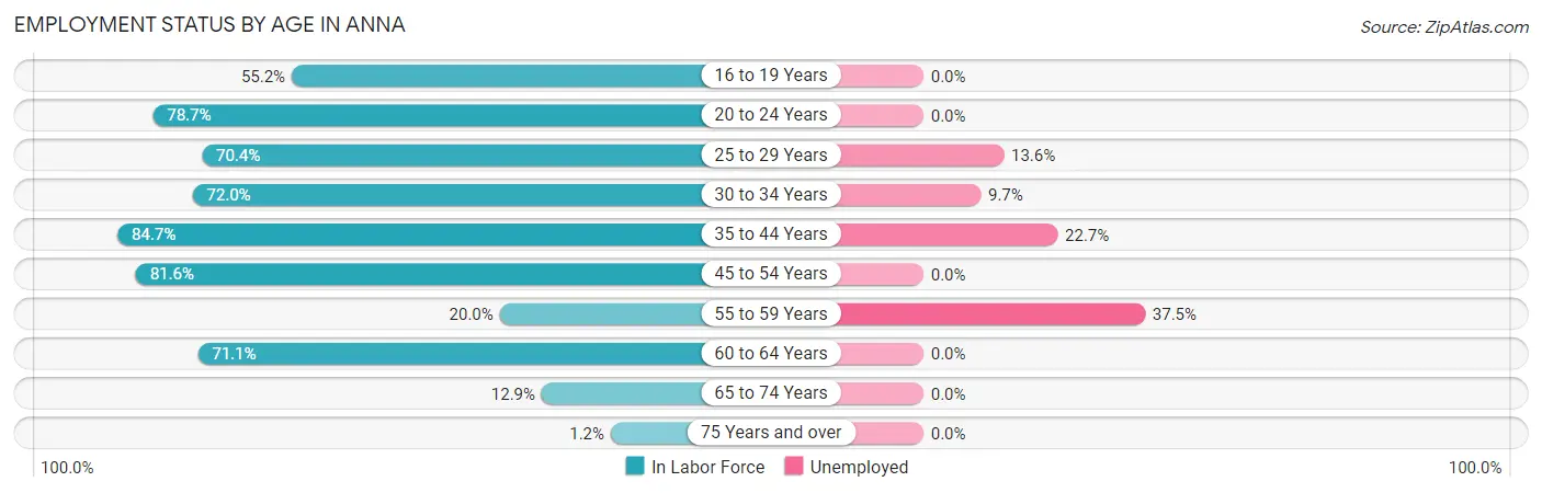Employment Status by Age in Anna