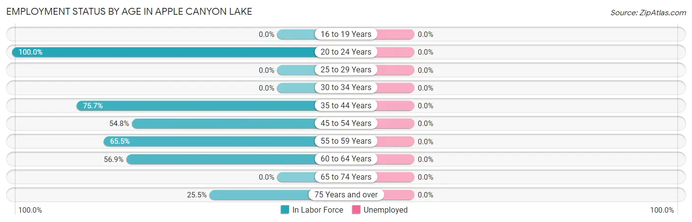 Employment Status by Age in Apple Canyon Lake