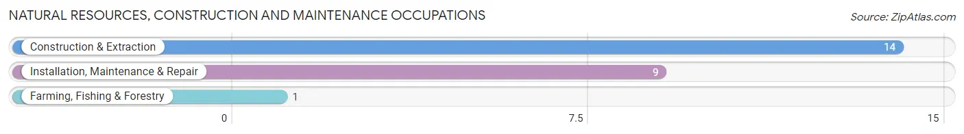 Natural Resources, Construction and Maintenance Occupations in Apple River