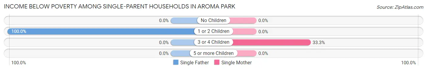 Income Below Poverty Among Single-Parent Households in Aroma Park
