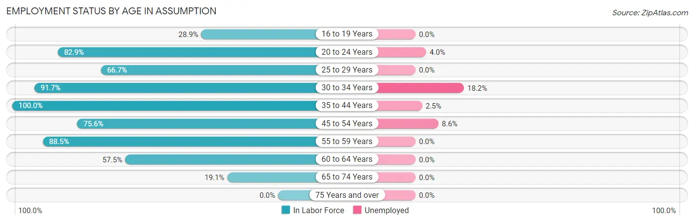 Employment Status by Age in Assumption